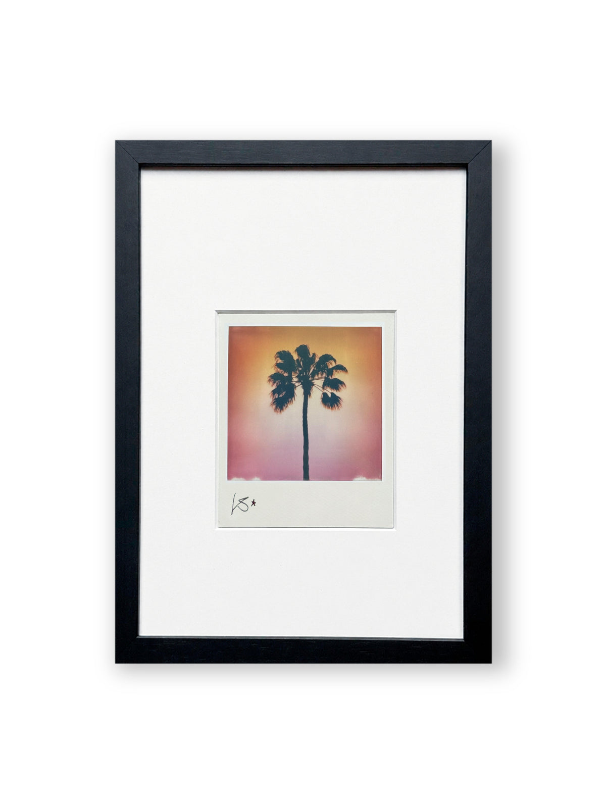 Polaroid "Palm Paradise" July Edition