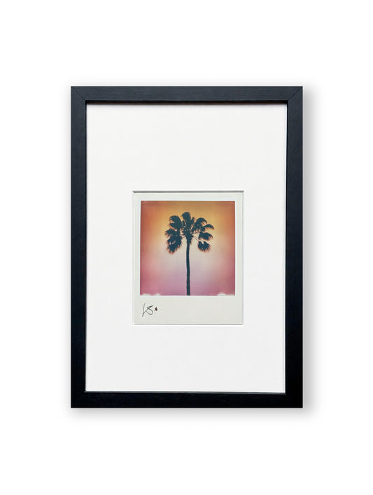 Polaroid "Palm Paradise" July Edition