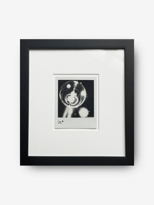 Polaroid "Disco" October Edition